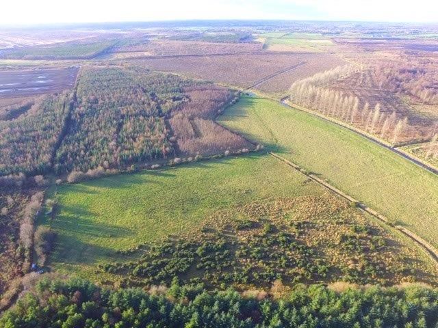 Land holding available in lots in the 'King's County'
