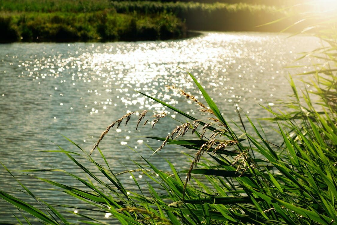 Tyrone farm business fined for water pollution