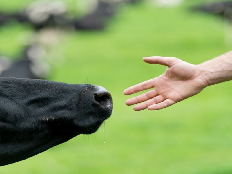 Quality Milk Awards series: Meet this year's finalists