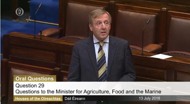'Department is not in the business of shooting cattle' - Minister