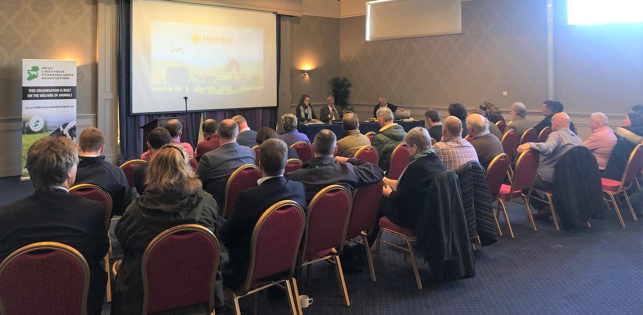 Lairage space for 5,000 dairy calves per sailing expected next spring