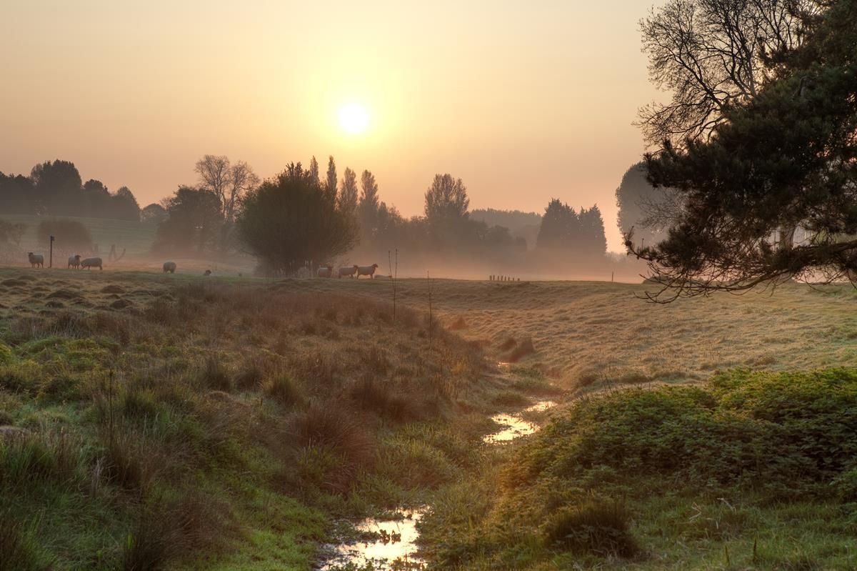 Agri-food under spotlight, making up 4 out of 5 new EPA priority sites
