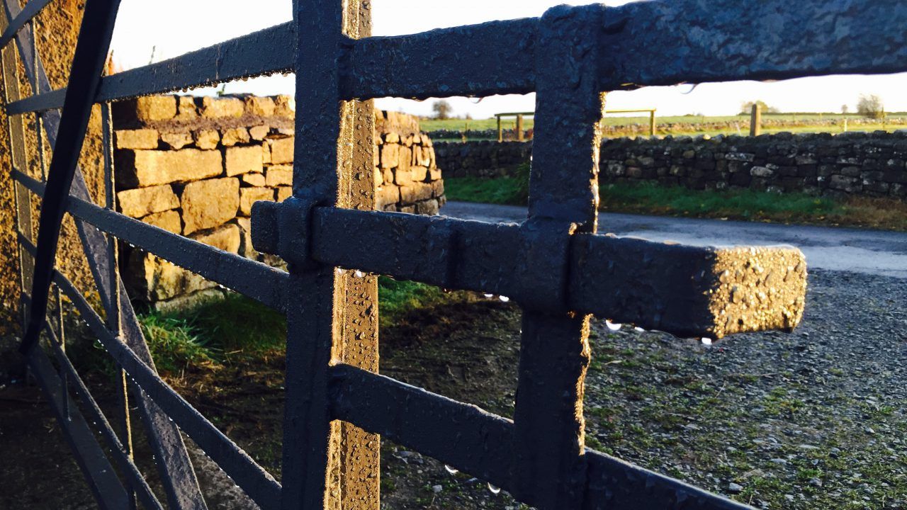 Inquest hears of family heartbreak after bull killed young farmer