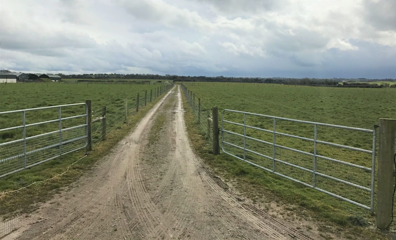 Grass growth: Should I graze closed up paddocks?