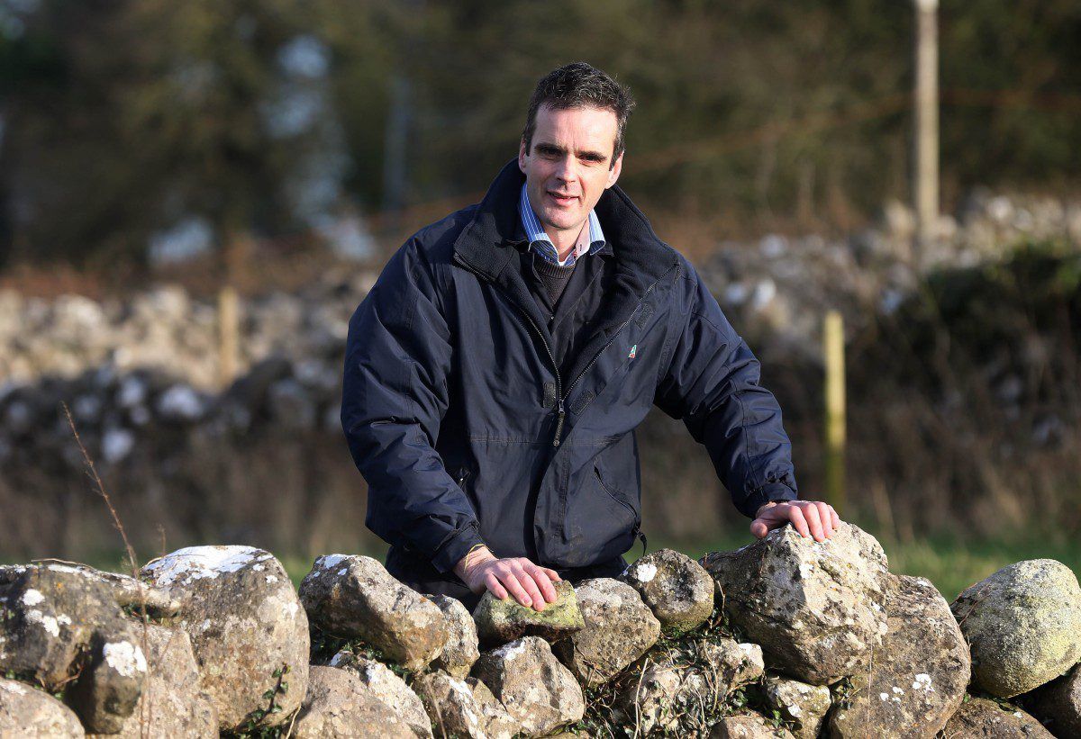 'Rural Ireland demands a full-time Minister for Agriculture'