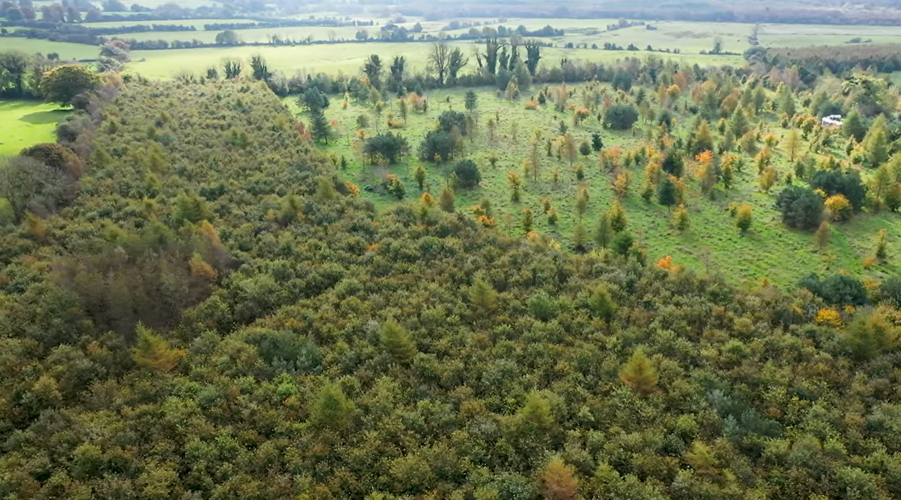 Agriland and DAFM to launch series on forestry for farmers