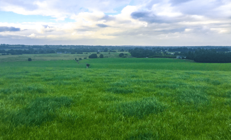Minister launches agriculture Review and Outlook for 2019