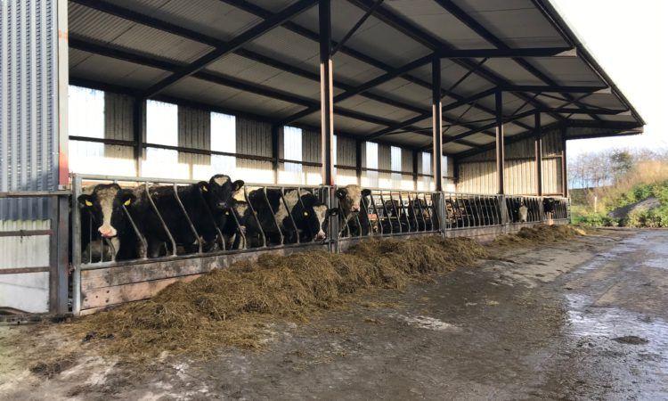 GrowthWatch: Grazing season draws to a close for heavier stock