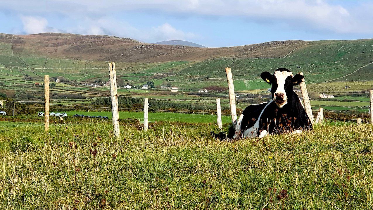 Addressing challenges to farmed landscape