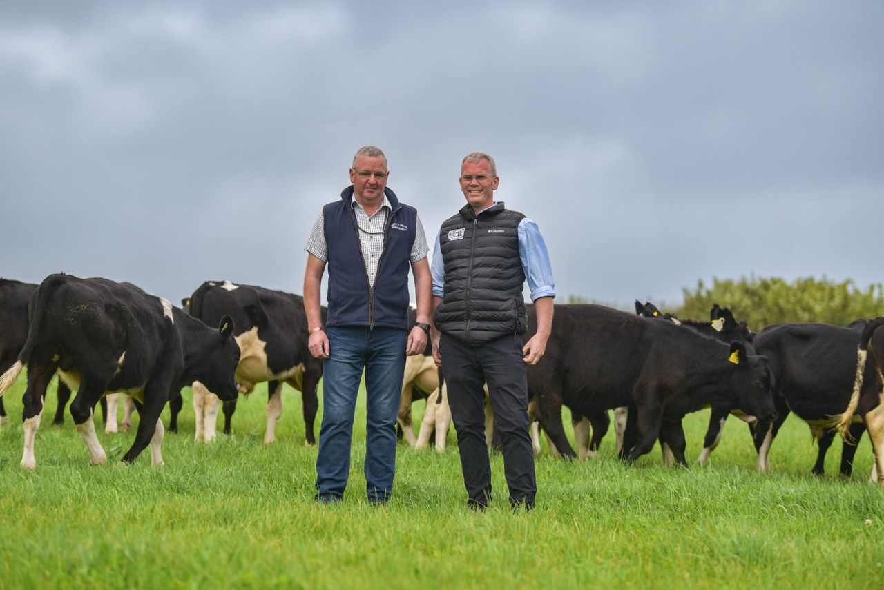 Delivering medal-winning performances from calves in Donegal