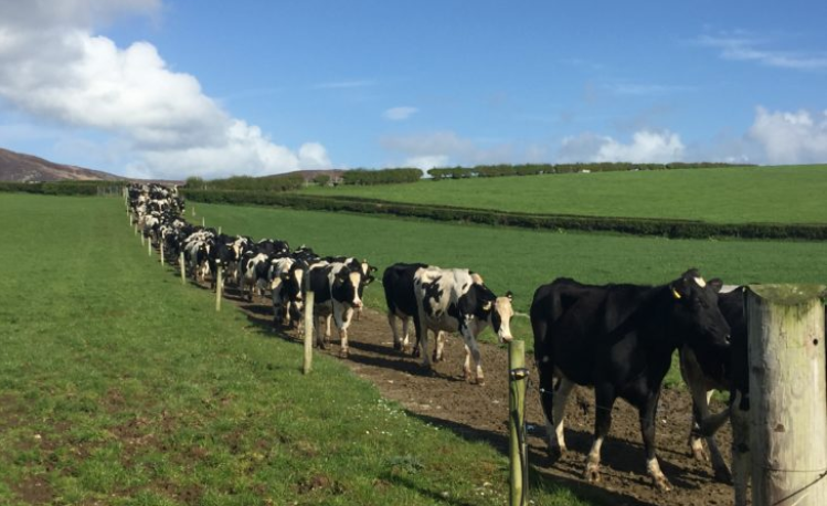 IGA Dairy Conference: What's in store at this year's event?