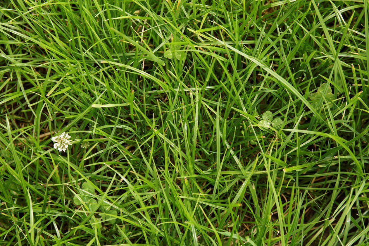 Germinal Ireland announces management restructuring