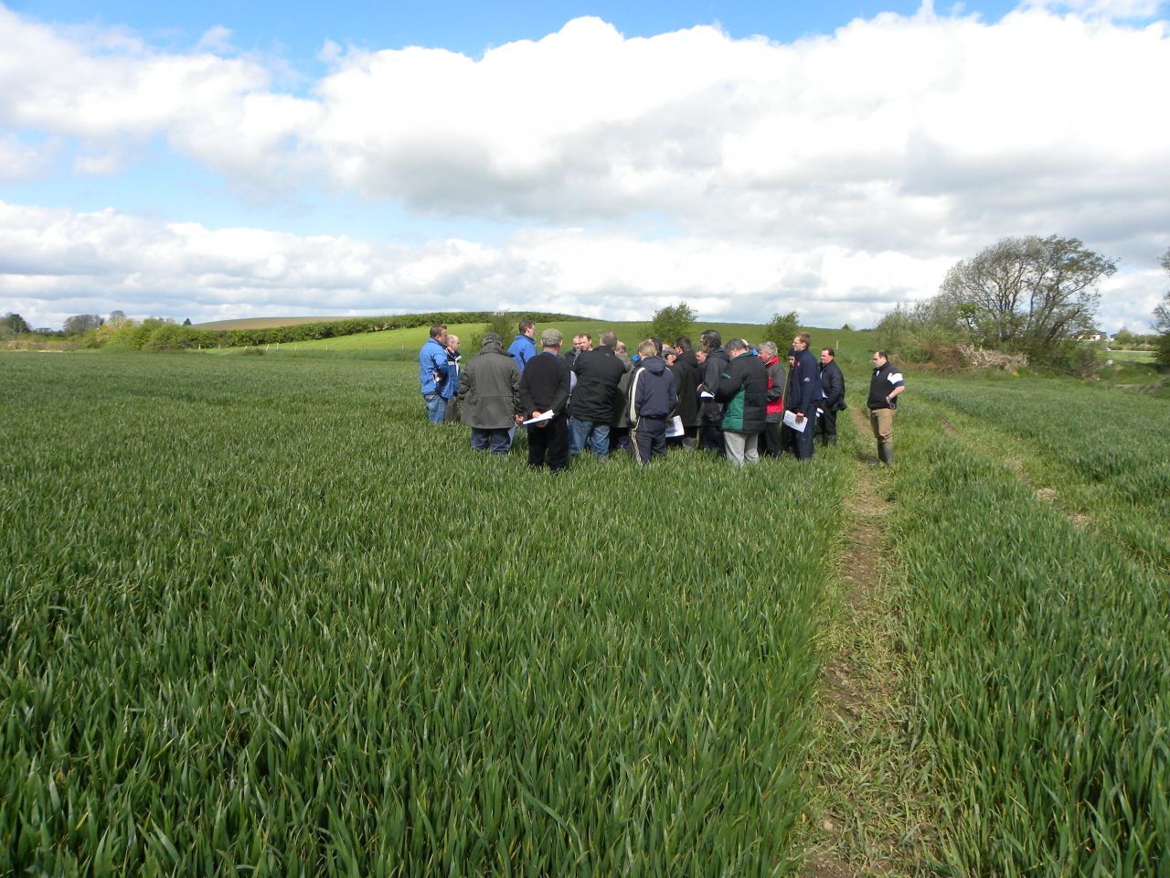 Payments issue to farmers in discussion group programmes