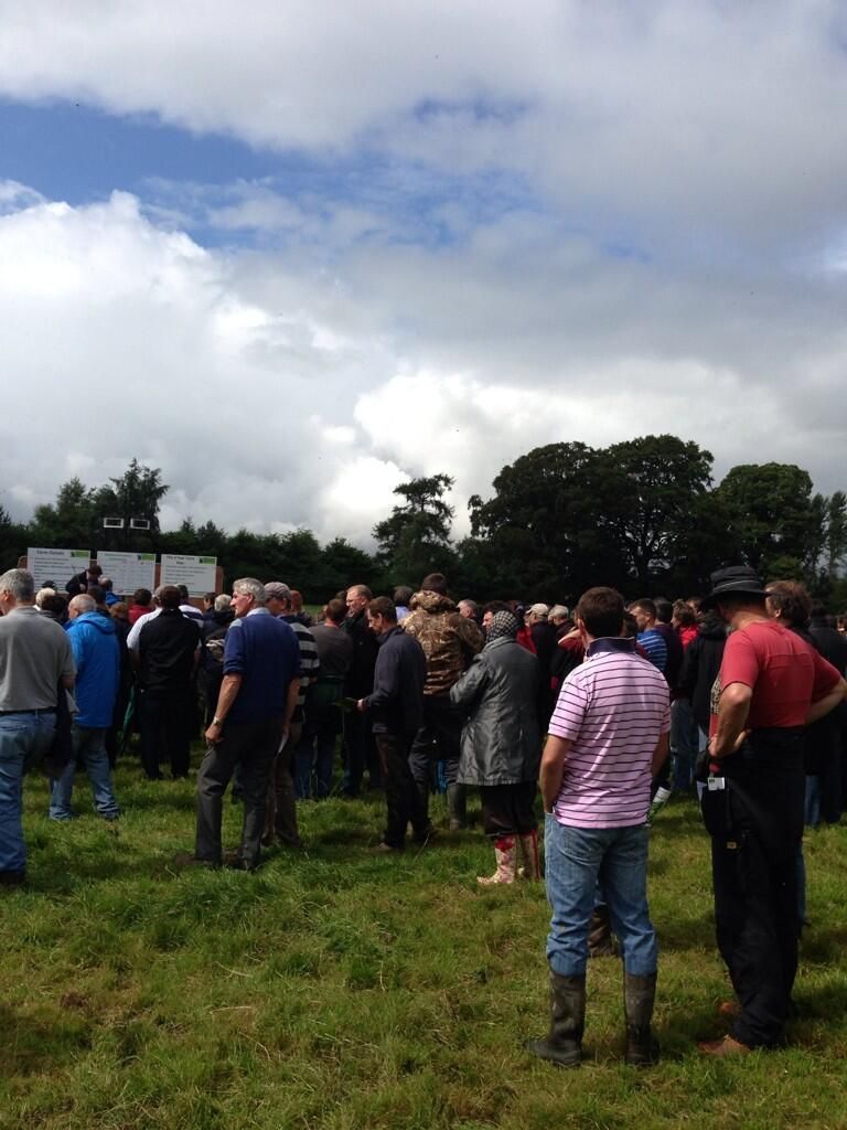 700 beef farmers at Teagasc Better Farm Open Day