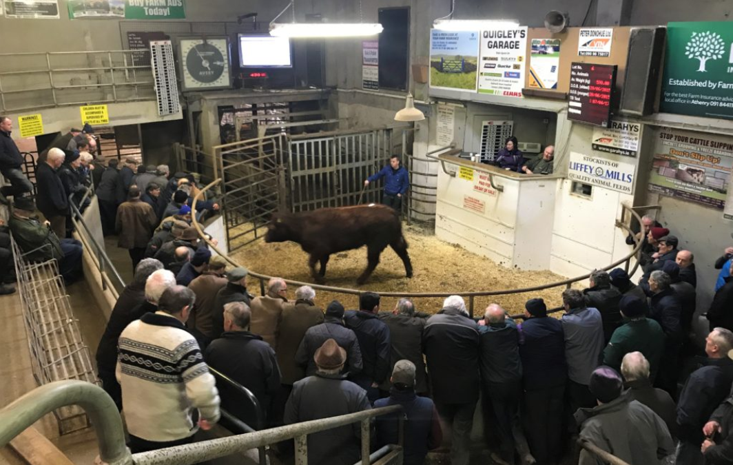 WRC upholds three complaints made by Ballinasloe Mart worker