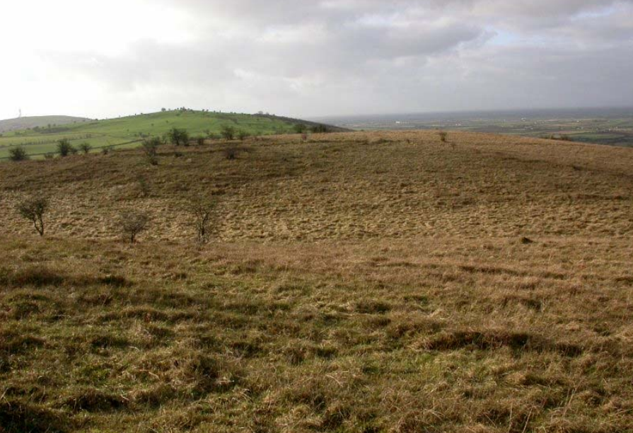 State to buy 165ac of Kilkenny farmland for new nature reserve