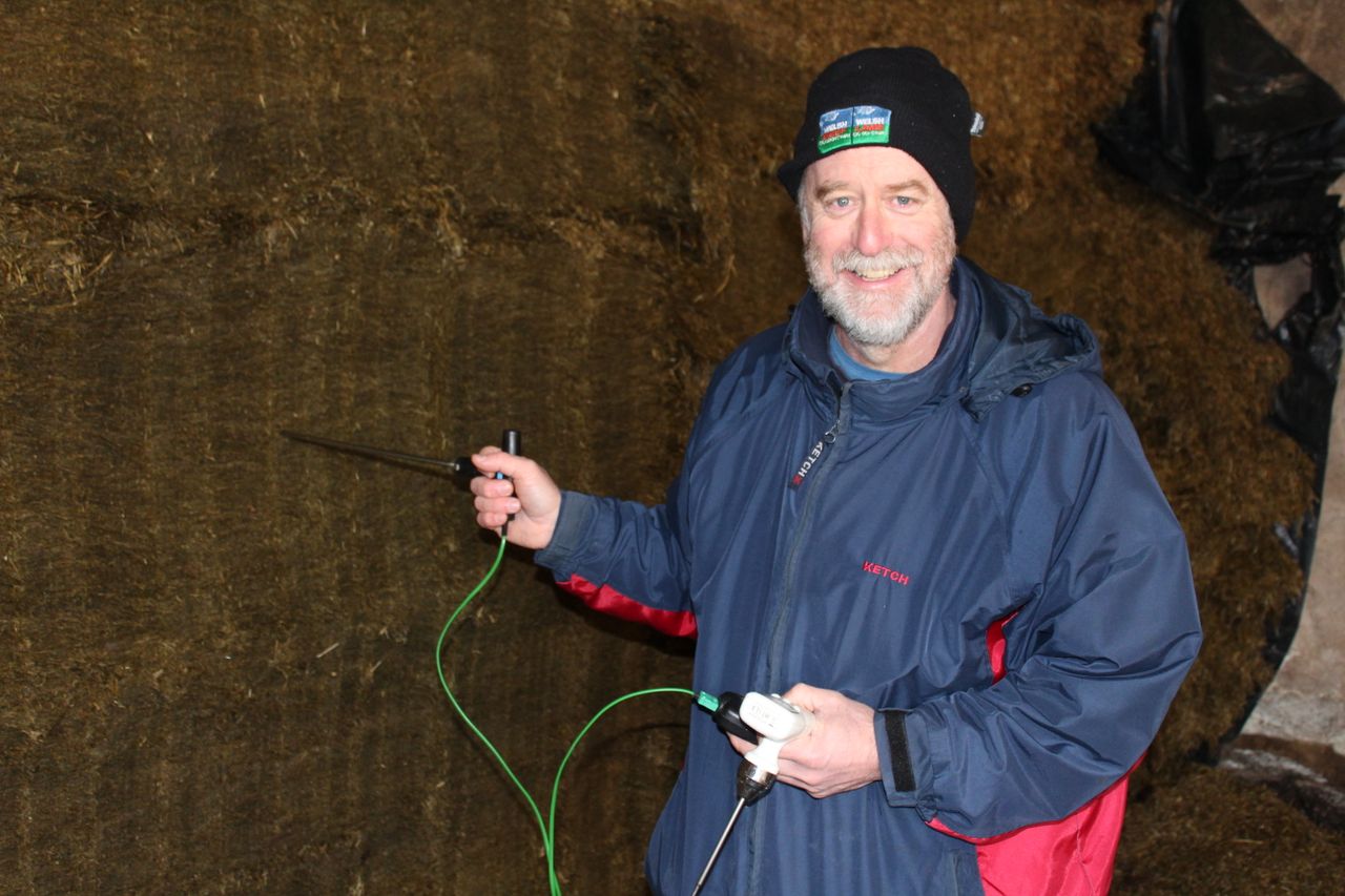 Threat of mycotoxins invisible to the naked eye