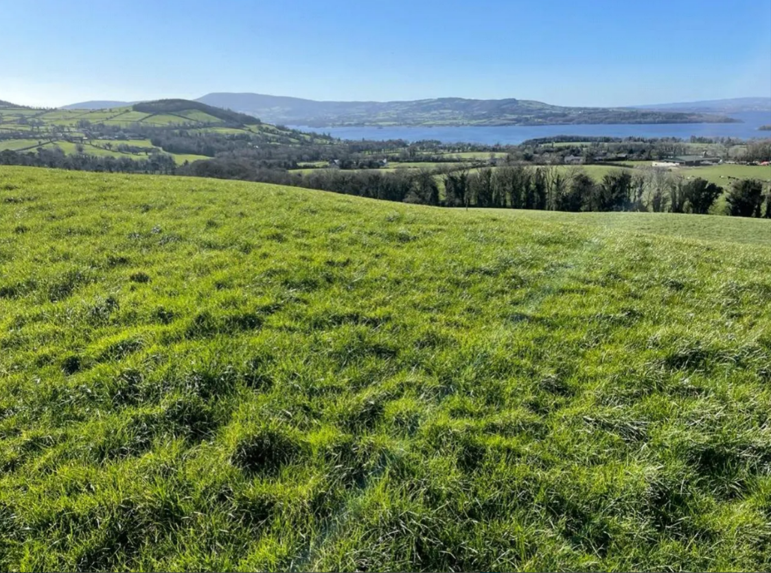 Dairy farmer claims 167ac Tipperary holding at auction