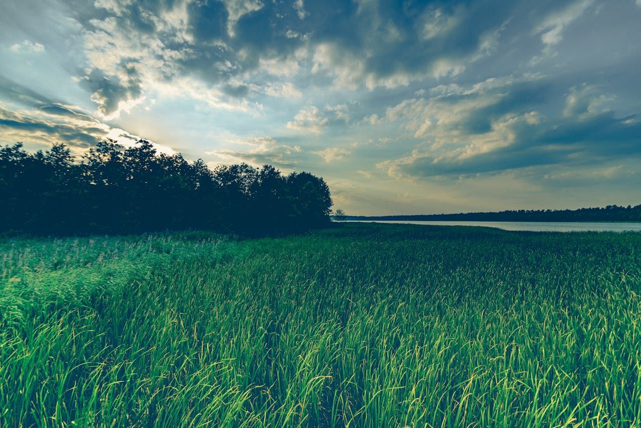 New research shows farmers want 'payment' for water quality measures