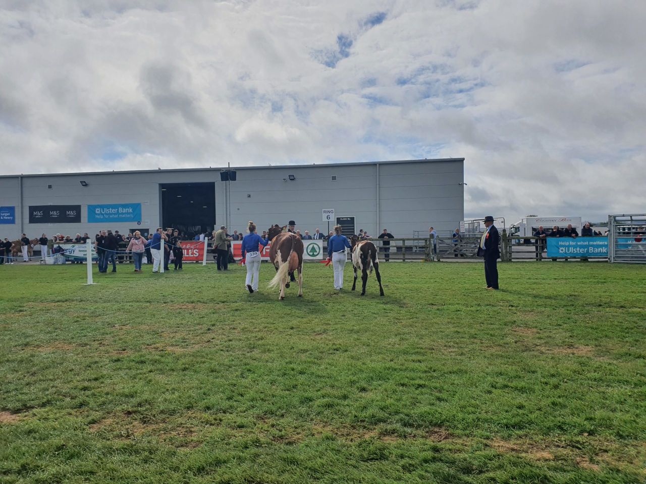No poultry classes at this year's Balmoral Show