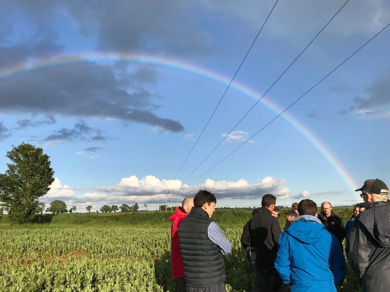 Tillage focus: Conserving the soil and time in Co. Carlow
