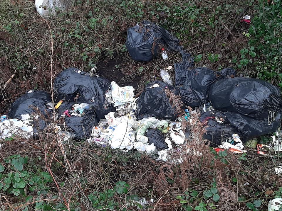 'The whole legislation around illegal dumping is way too soft'