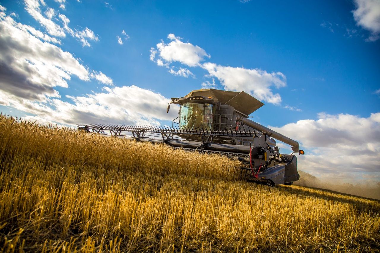CSO: Wheat, barley and oat production increased in 2021