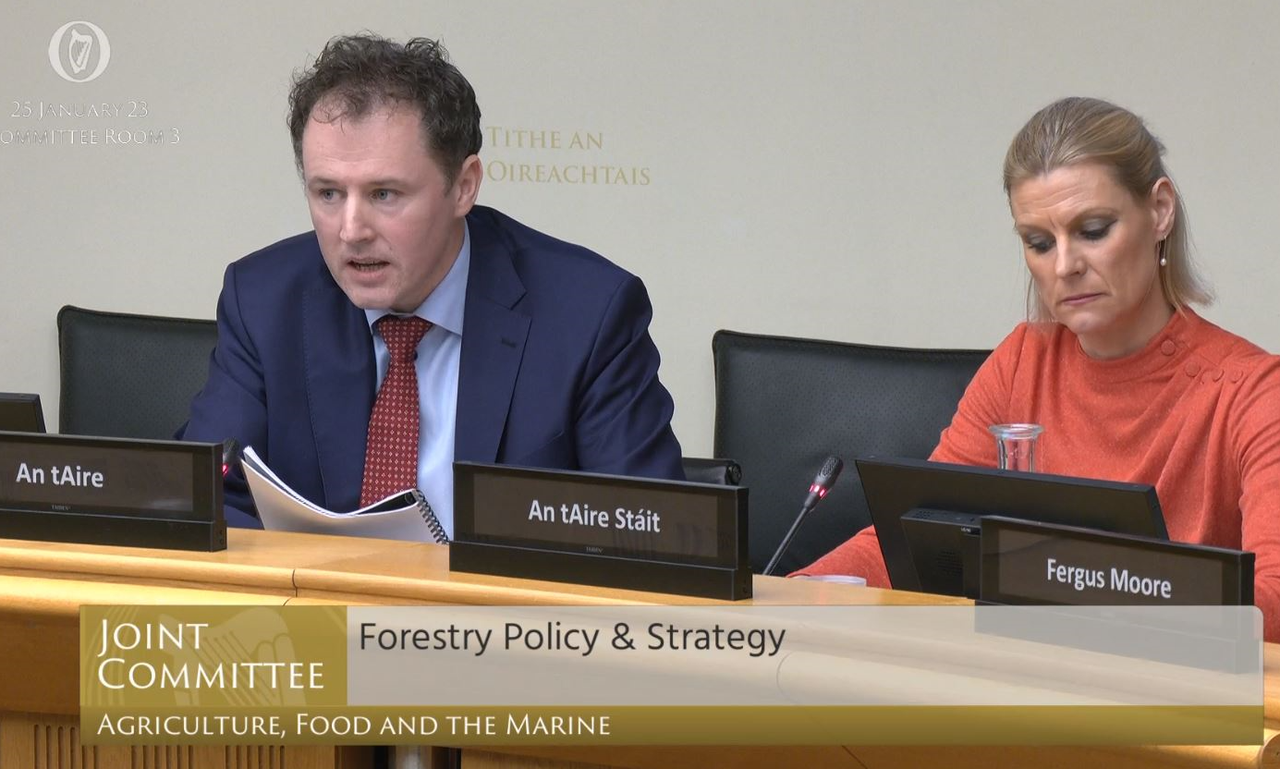 Coillte wants to invest €10m in new forestry fund