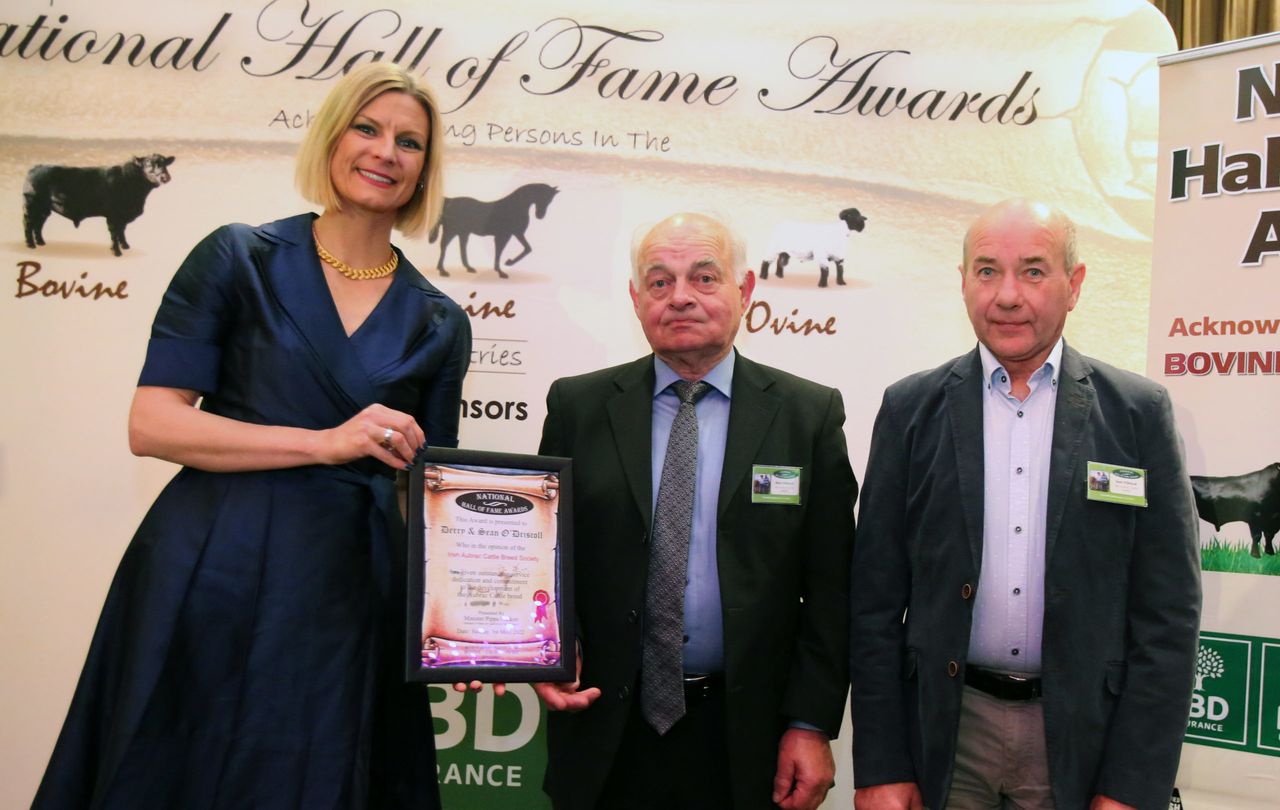 First Irish Aubrac breeders acknowledged at hall of fame awards
