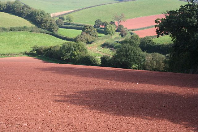 Building soil fertility in a sustainable way