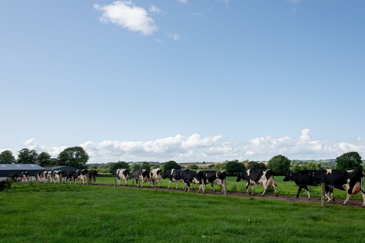 NDC 'Raising the Dairy Voice' series to launch on Agriland
