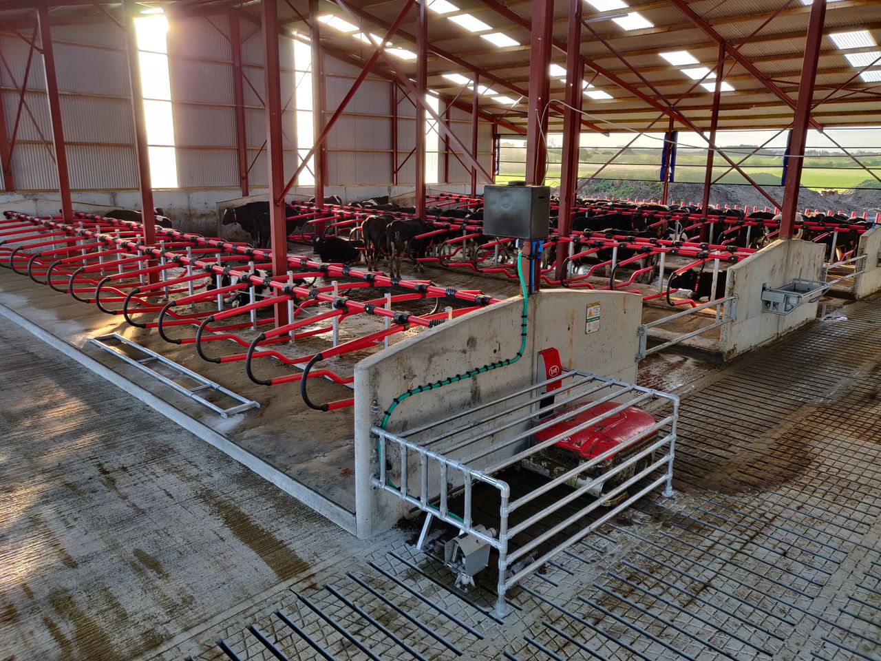Buildings focus: Milking 69 cows in a brand new robotic-milking system in Co. Laois