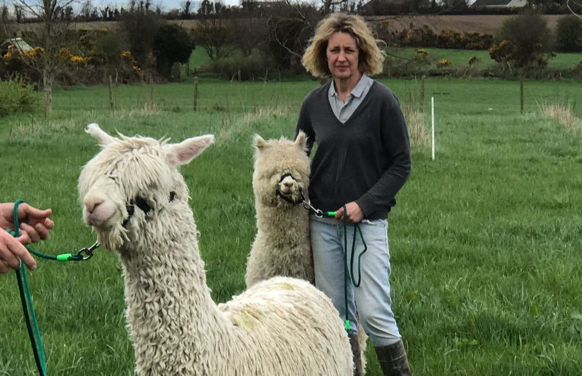 Wexford woman produces good food in harmony with nature