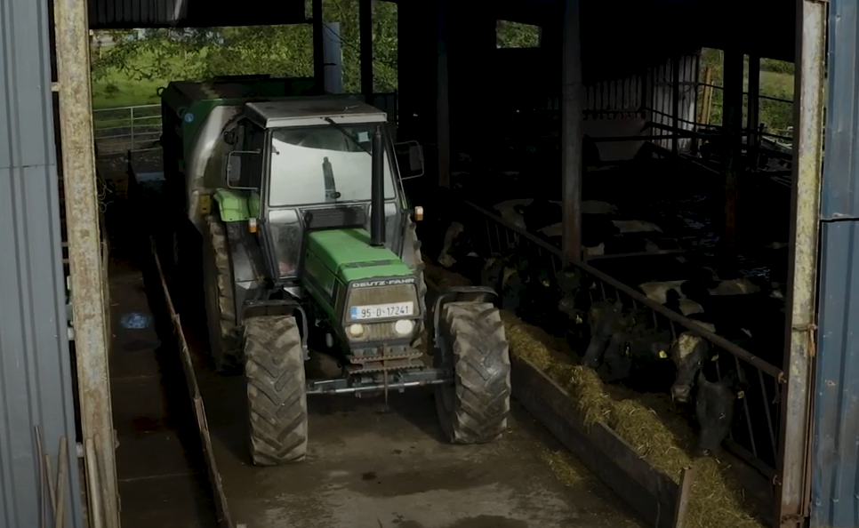 Virtual Teagasc Green Acres Calf to Beef Programme farm walk next Thursday