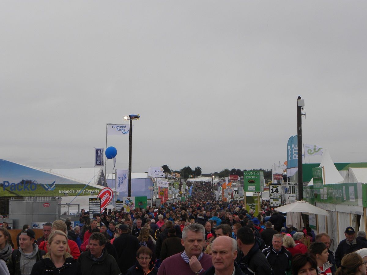283,000 people attend the 'most successful' Ploughing ever