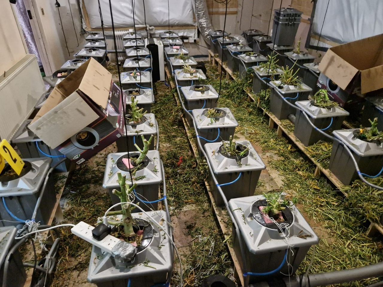 Gardaí seize cannabis worth €700,000 in rural Roscommon