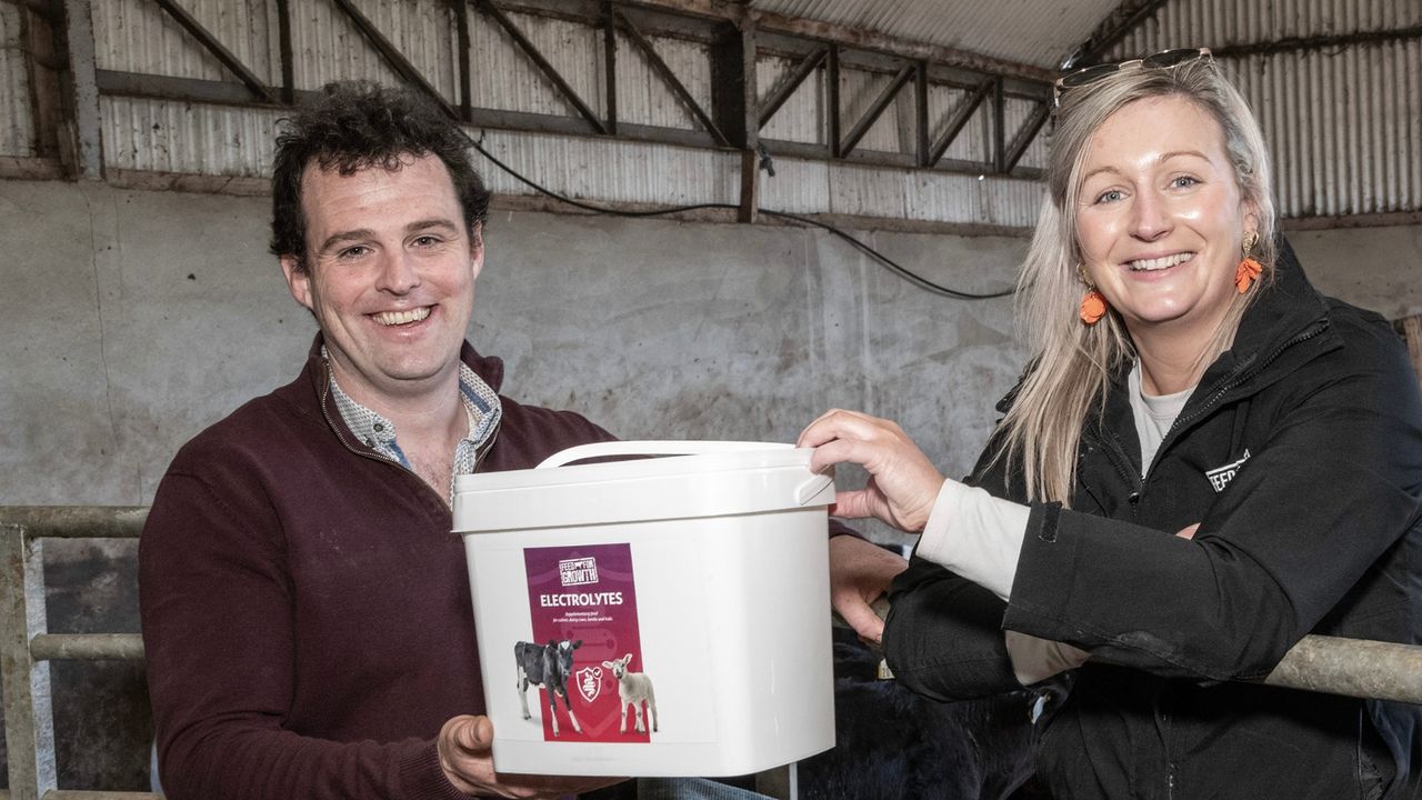 How this Limerick farmer built a calf-rearing system around a full-time job