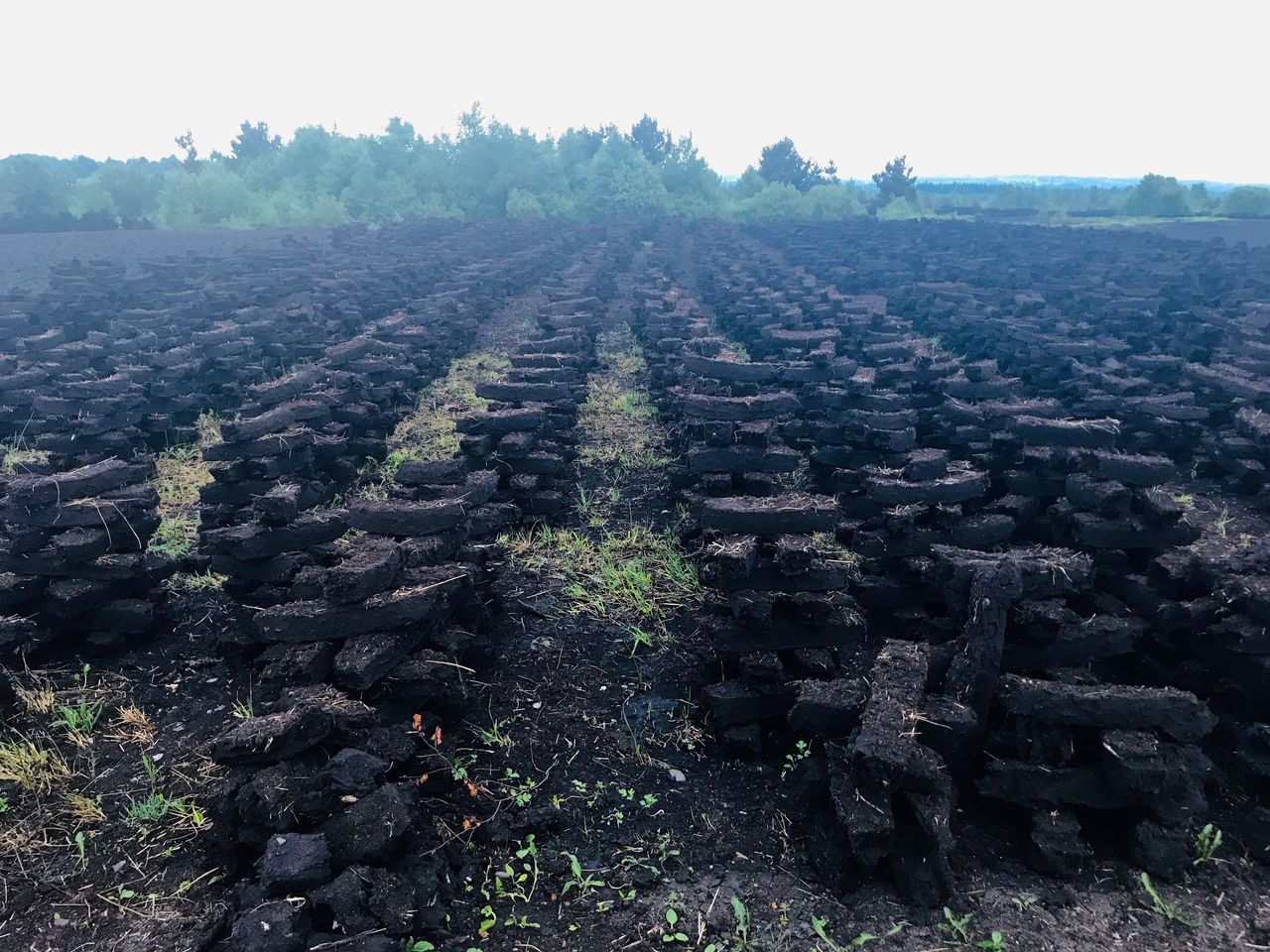 Turf cutting cannot proceed on Bord na Móna lands