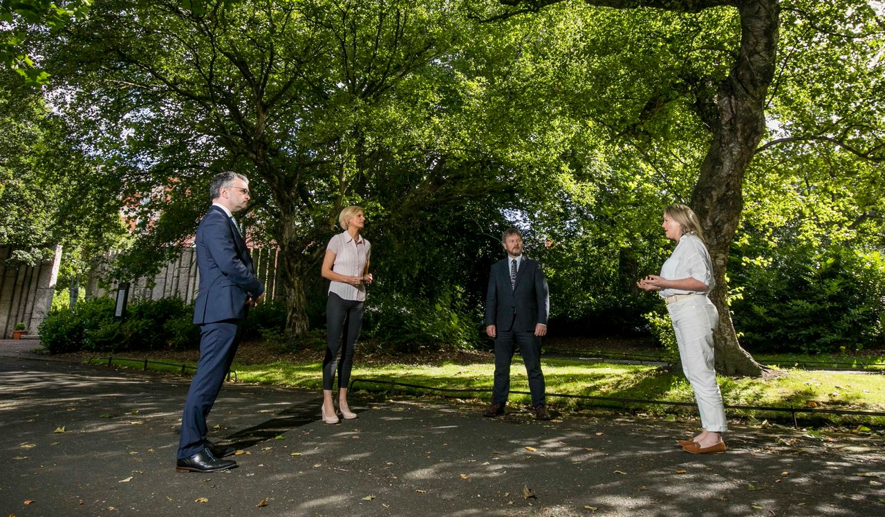 Ministers announce native woodland scheme for public land