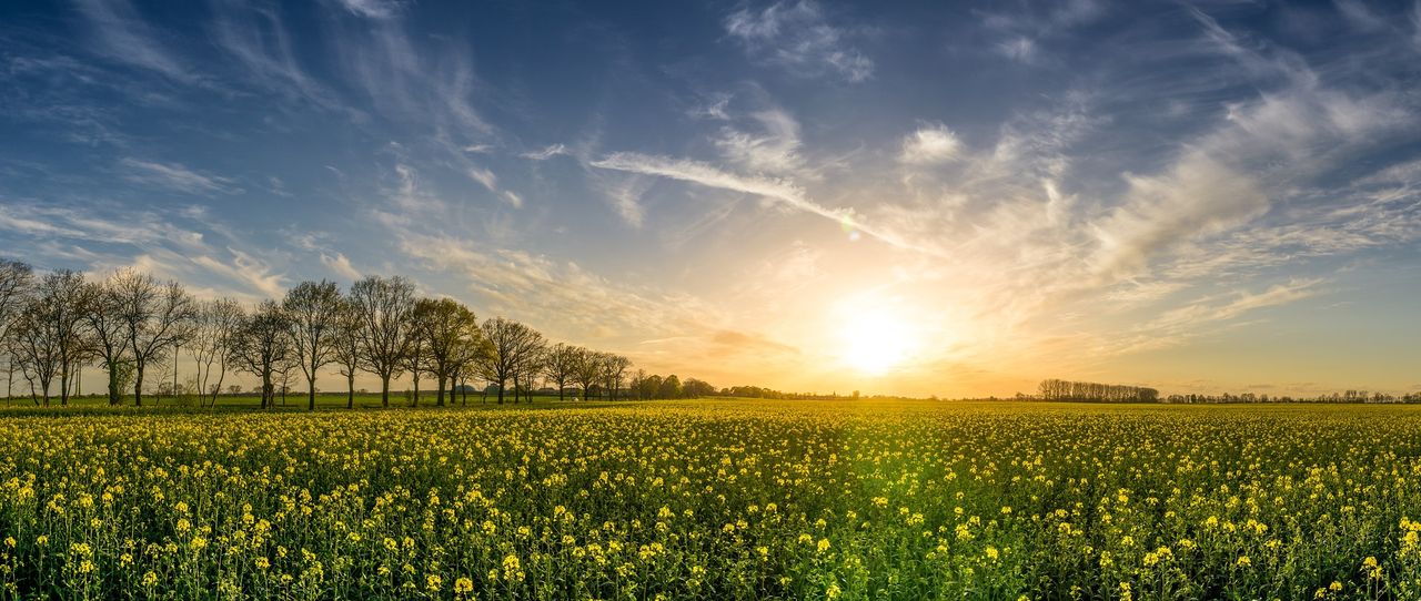 EU extends state aid crisis tools to support agri-sector