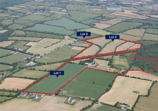 Lots for sale with outbuildings, land and forestry in Co. Meath