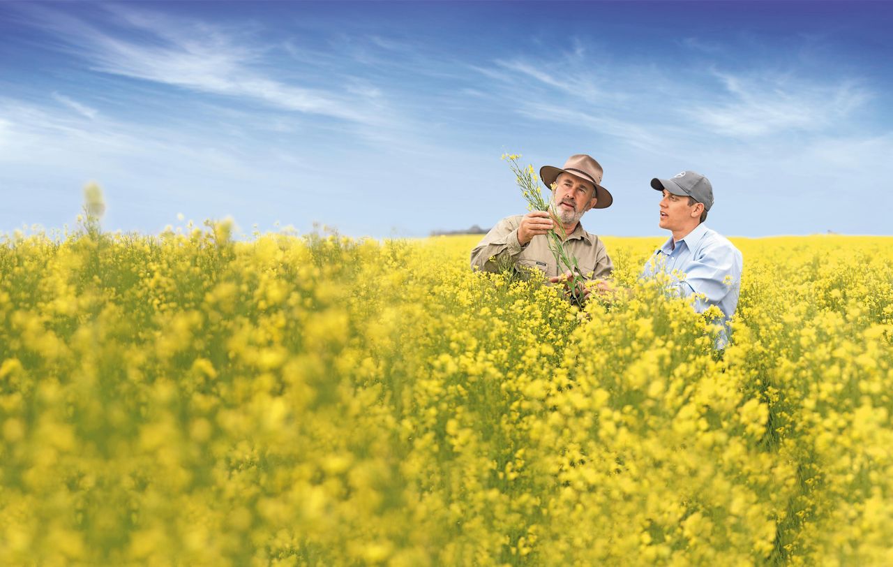 Bayer and Neste to develop feedstocks for renewable fuels
