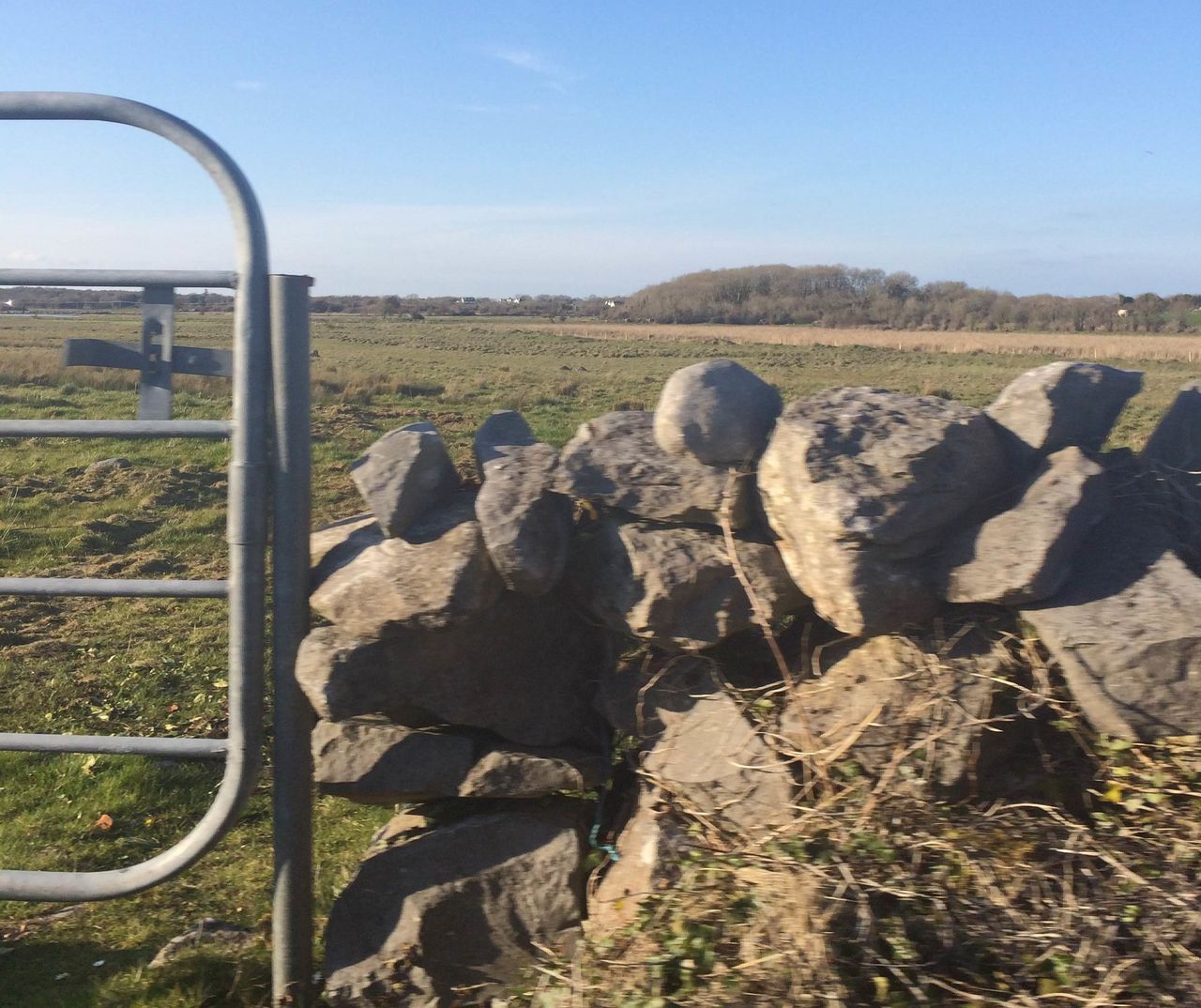 ICMSA 'guarantees' legal challenges against farmland CPOs