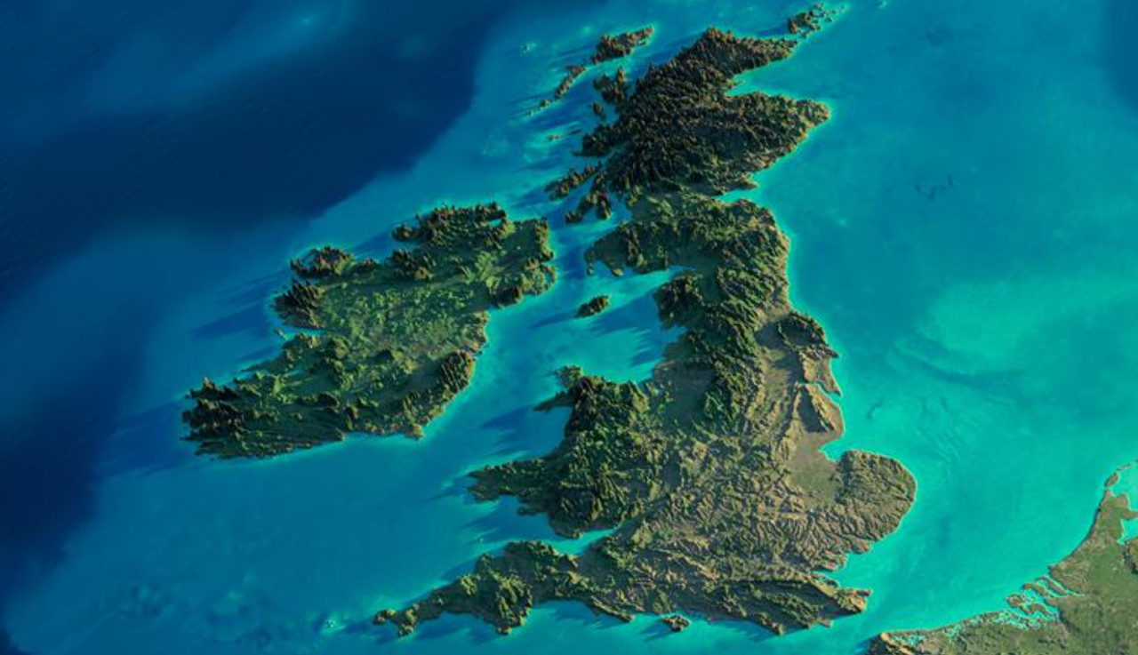IBLA calls for imports to cease following suspected UK foot and mouth case