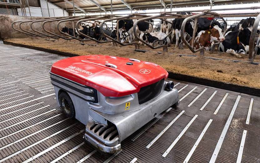Leaving a clean floor will help reduce infections of the hoof