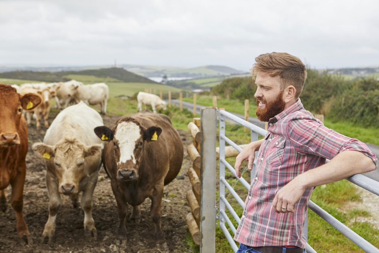 Warning issued that Mercosur 'as it stands will destroy' Irish and European beef farming