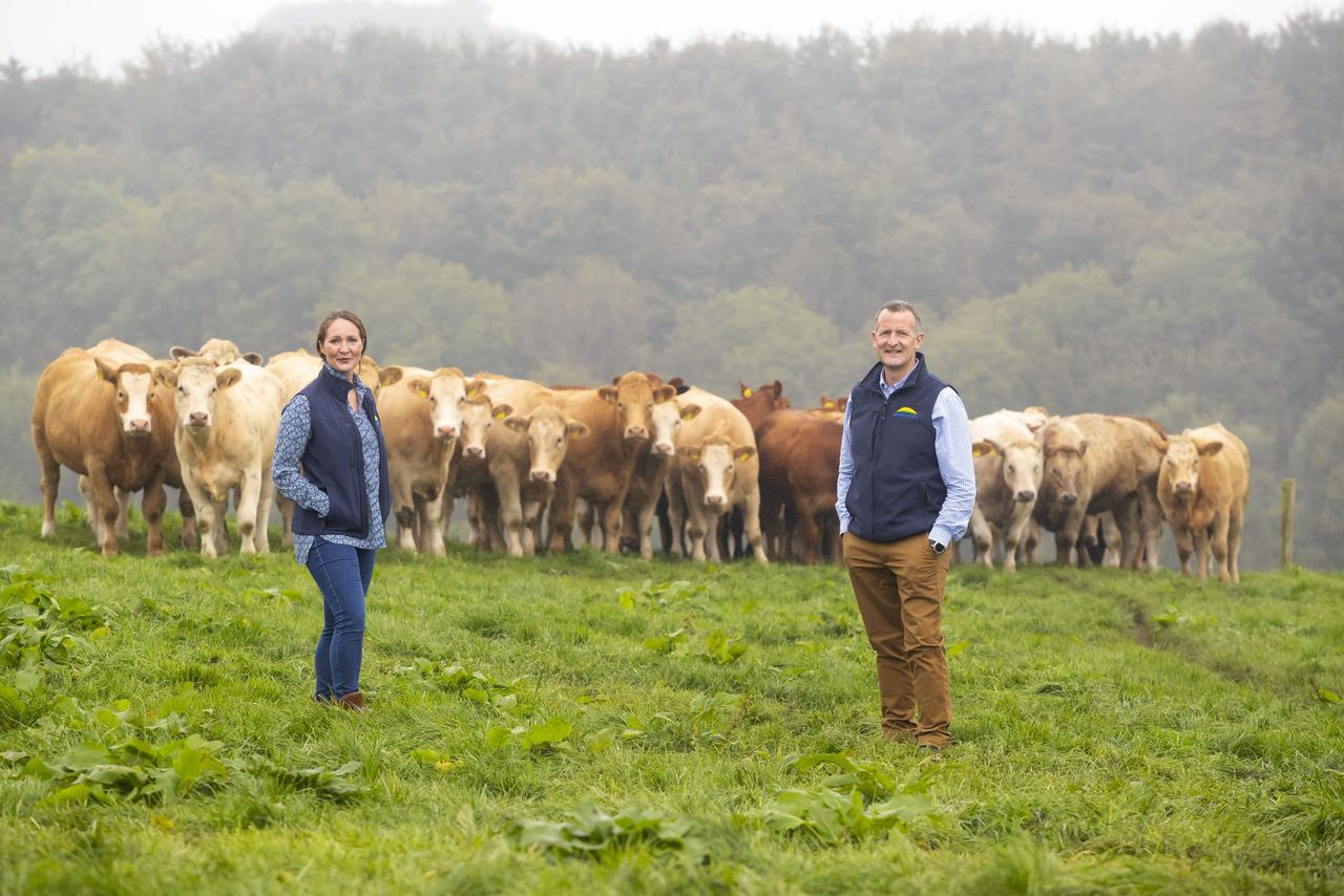 Dawn Meats reports 77% reduction in scope 1 and 2 emissions