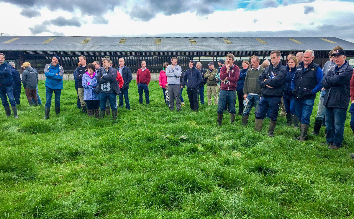 Meath farm walk to focus on benefits of farming sustainably