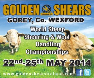 Golden Shears 2014 Live Stream