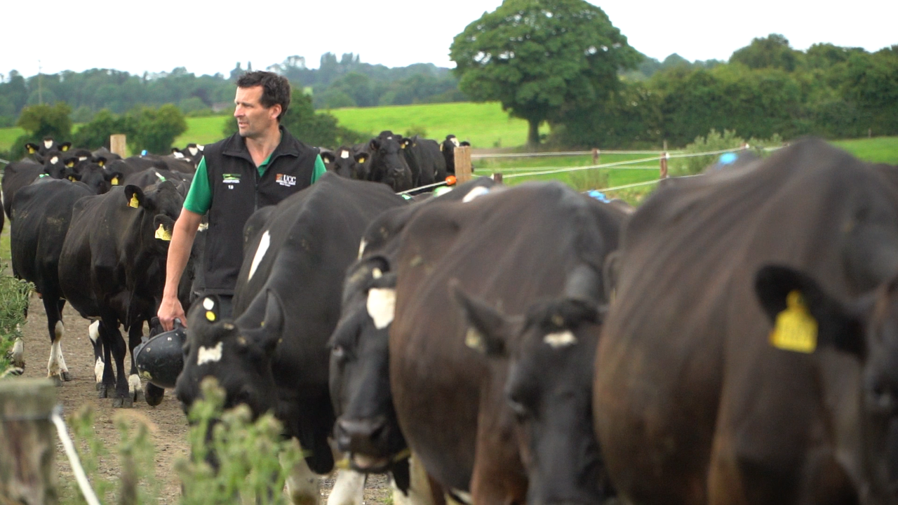 Tom Downey on his farm in Co. Tipperary. Source: ICBF